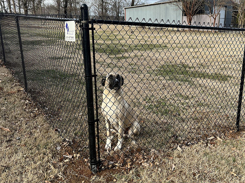 New Market AL Chain Link Fences