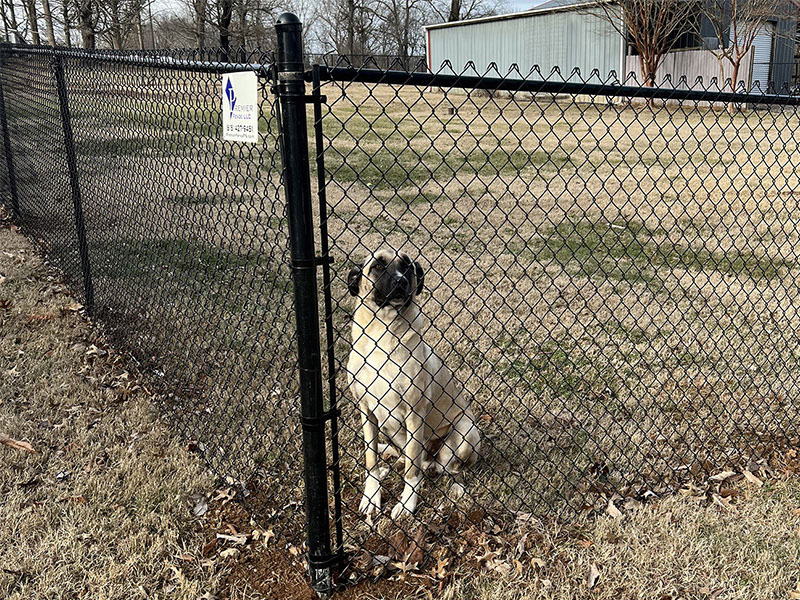 Residential Chain Link Fence - Huntsville Alabama