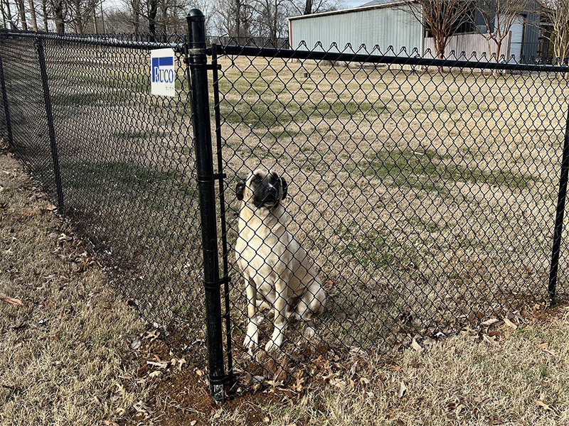 Chain Link fence solutions for the Huntsville Alabama area